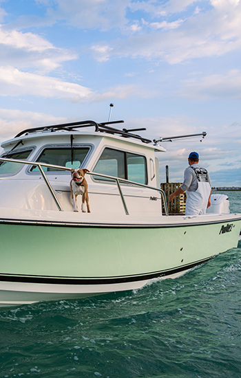 Boat feature image