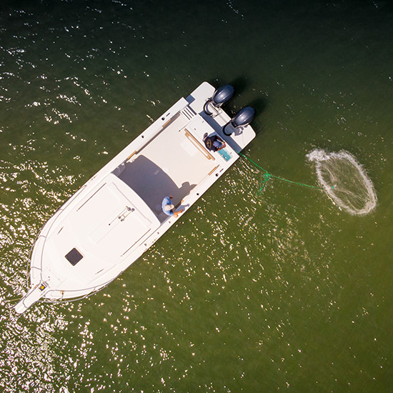Boat Overview